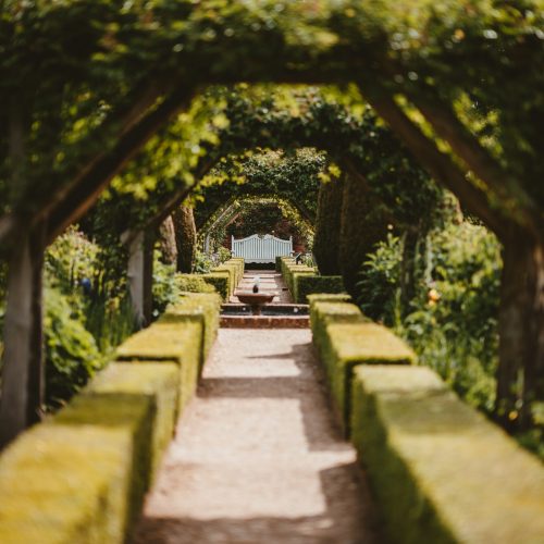 Garden arch trellis