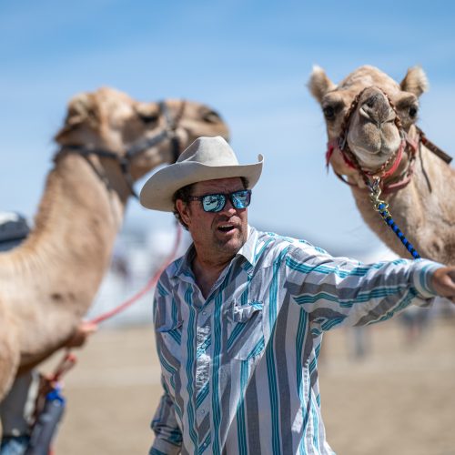 Camel races virginia city handlers before race