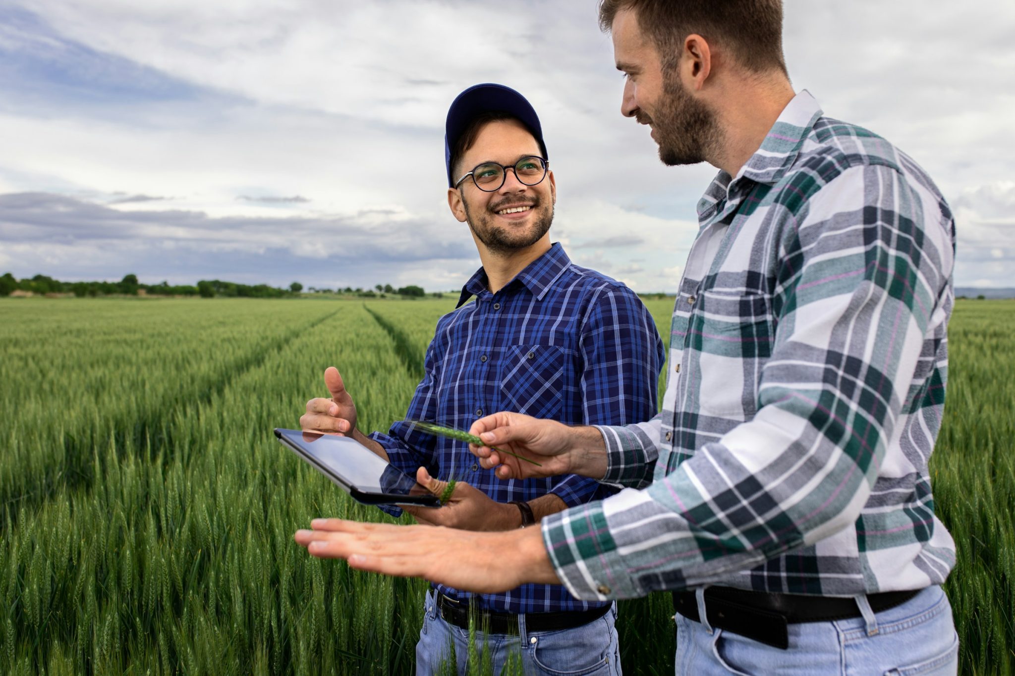 Farm management software: the essential tool for large-scale agricultural operations 