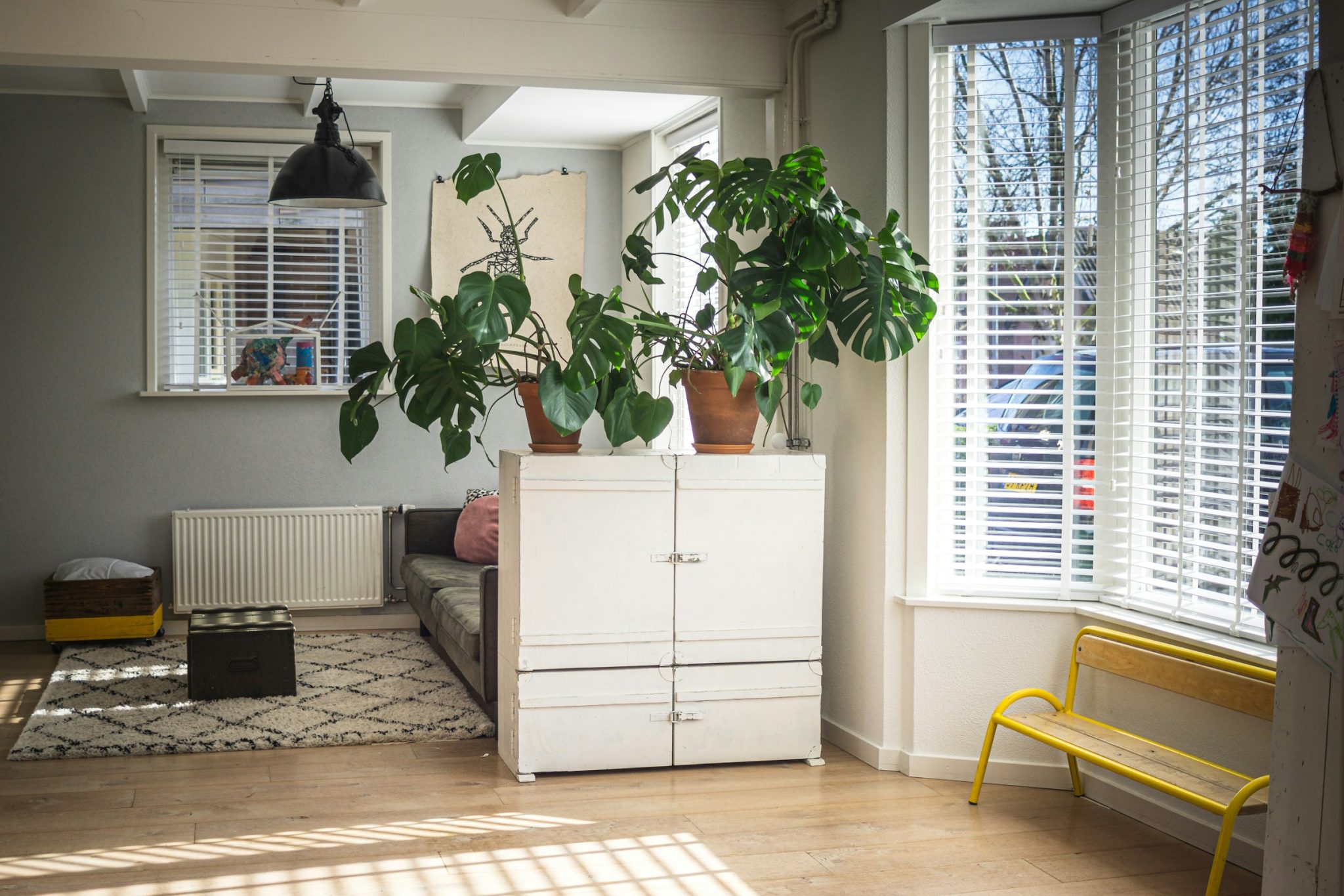 Top tips for installing blinds and shutters that will elevate your home’s aesthetic