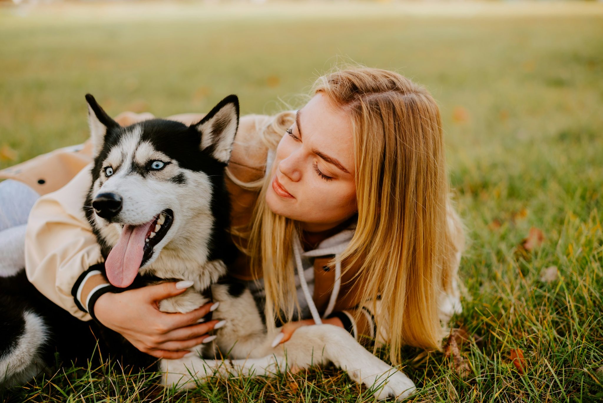 How cbd spray for dogs allergies works and what ingredients make it effective